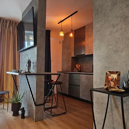 Urban Harmony Loft 29 Craiova